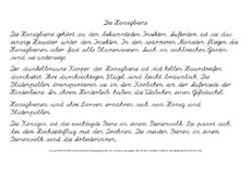 Die-Honigbiene-Abschreibtext-LA.pdf